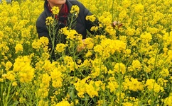 抓着班主任的两只大兔子视频